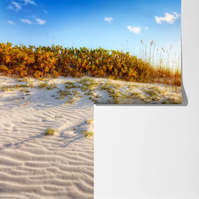 Fototapeta zachód słońca nad wydmami Grace Bay – Wallissimo® Fototapeta zachód słońca nad wydmami Grace Bay – Wallissimo®