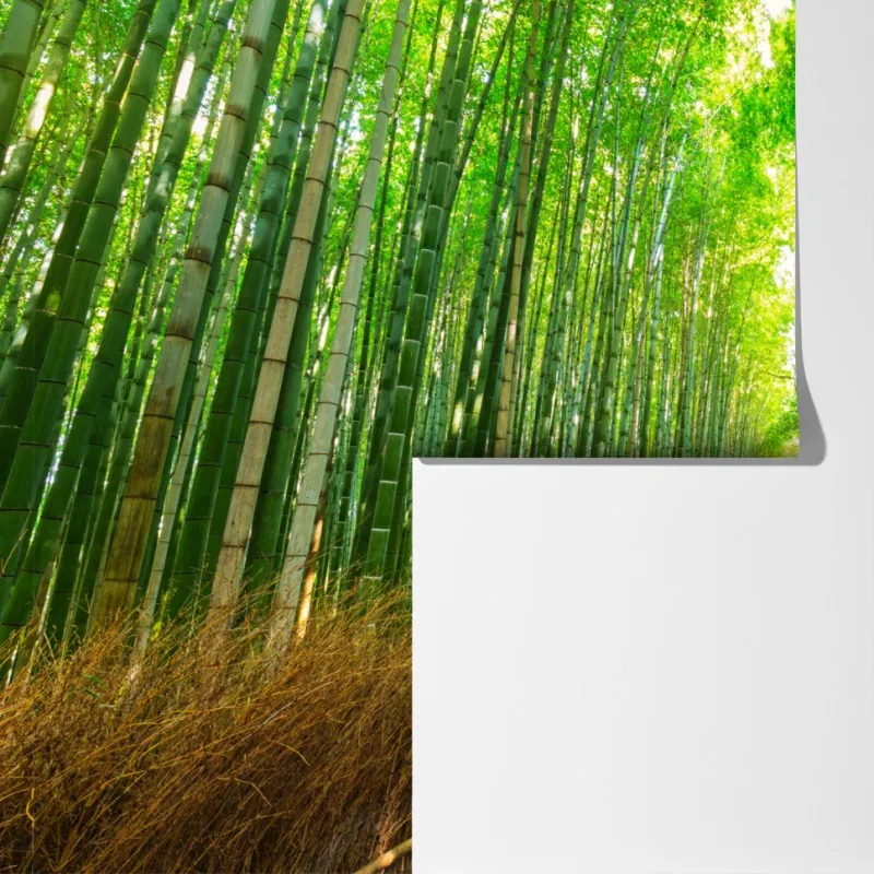 Fototapeta spokojna ścieżka bambusowa w Kioto – Wallissimo® Fototapeta spokojna ścieżka bambusowa w Kioto – Wallissimo®