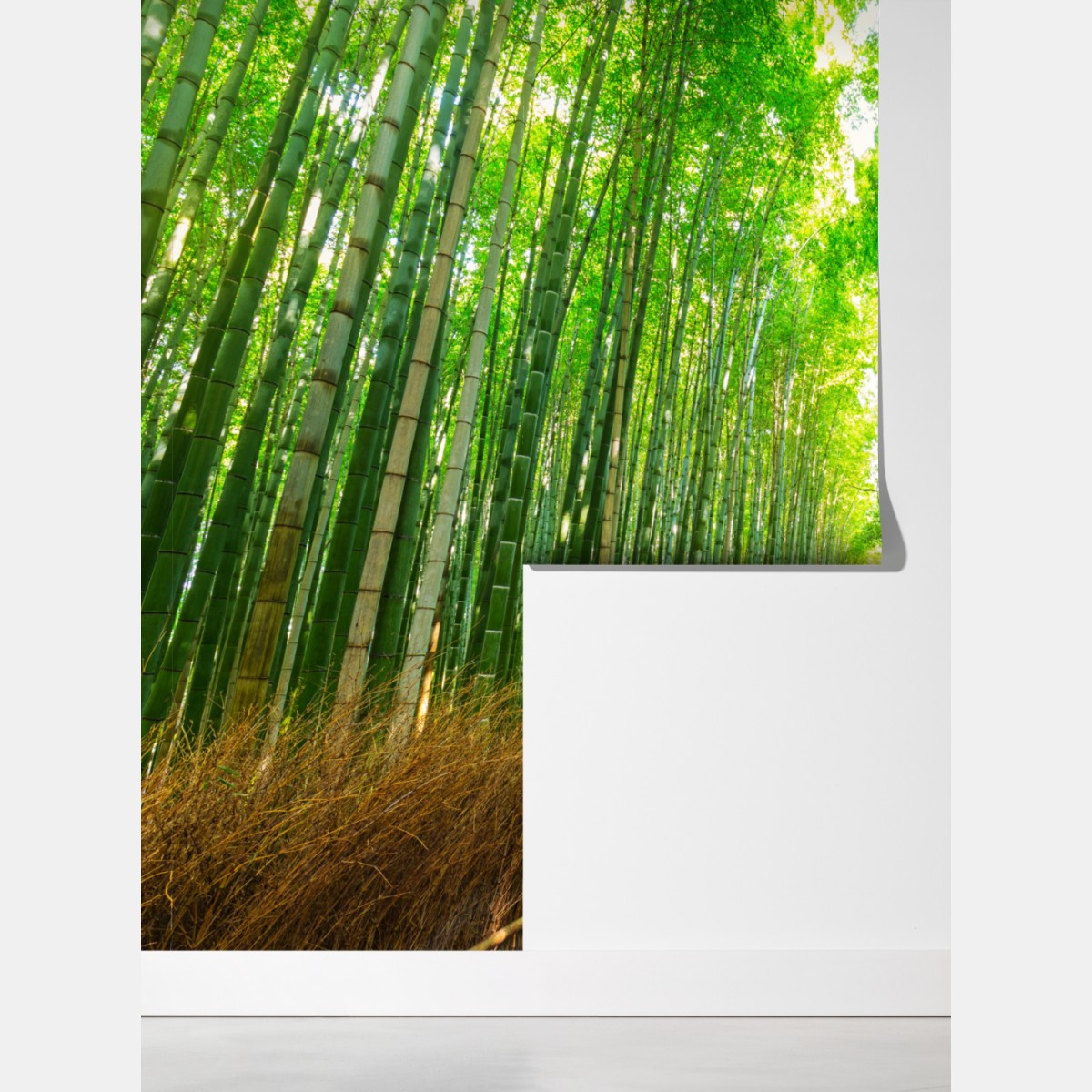 Fototapeta spokojna ścieżka bambusowa w Kioto – Wallissimo® Fototapeta spokojna ścieżka bambusowa w Kioto – Wallissimo®