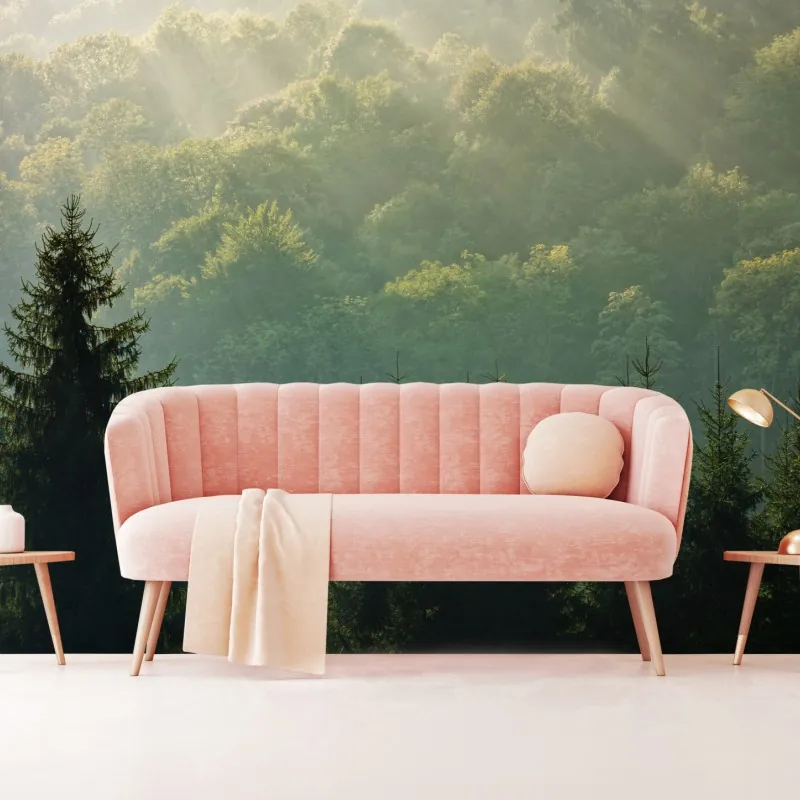 Fototapeta mglisty las świerkowy w Karpatach o wschodzie słońca