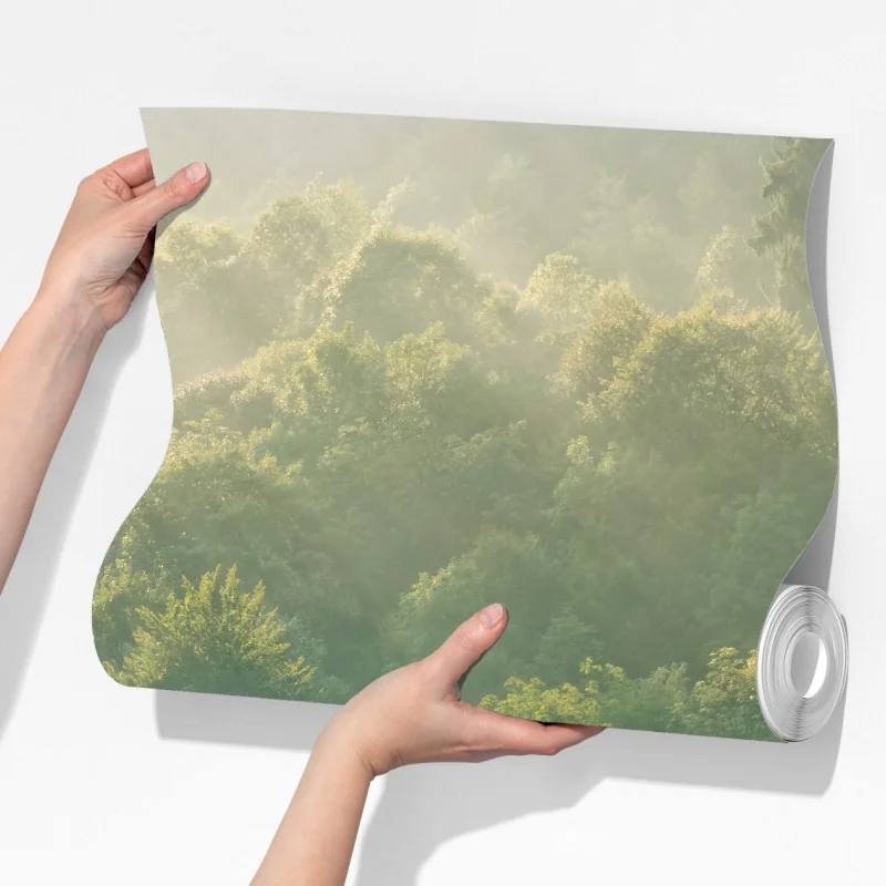 Fototapeta mglisty las świerkowy w Karpatach o wschodzie słońca – Wallissimo® Fototapeta mglisty las świerkowy w Karpatach o wschodzie słońca – Wallissimo®