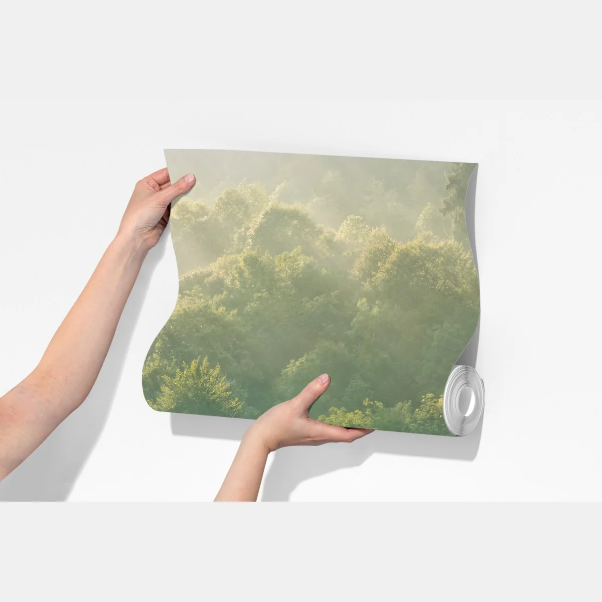 Fototapeta mglisty las świerkowy w Karpatach o wschodzie słońca – Wallissimo® Fototapeta mglisty las świerkowy w Karpatach o wschodzie słońca – Wallissimo®