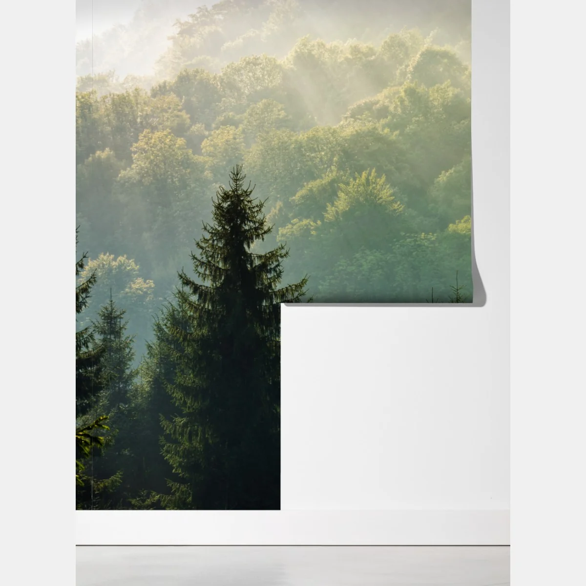 Fototapeta mglisty las świerkowy w Karpatach o wschodzie słońca – Wallissimo® Fototapeta mglisty las świerkowy w Karpatach o wschodzie słońca – Wallissimo®