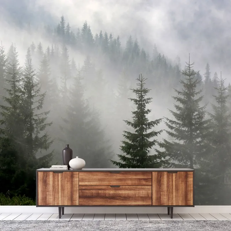 Fototapeta mglisty las sosnowy o świcie