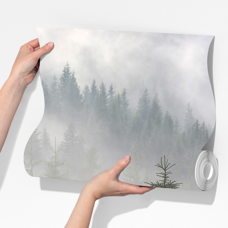 Fototapeta mglisty las sosnowy o świcie – Wallissimo® Fototapeta mglisty las sosnowy o świcie – Wallissimo®