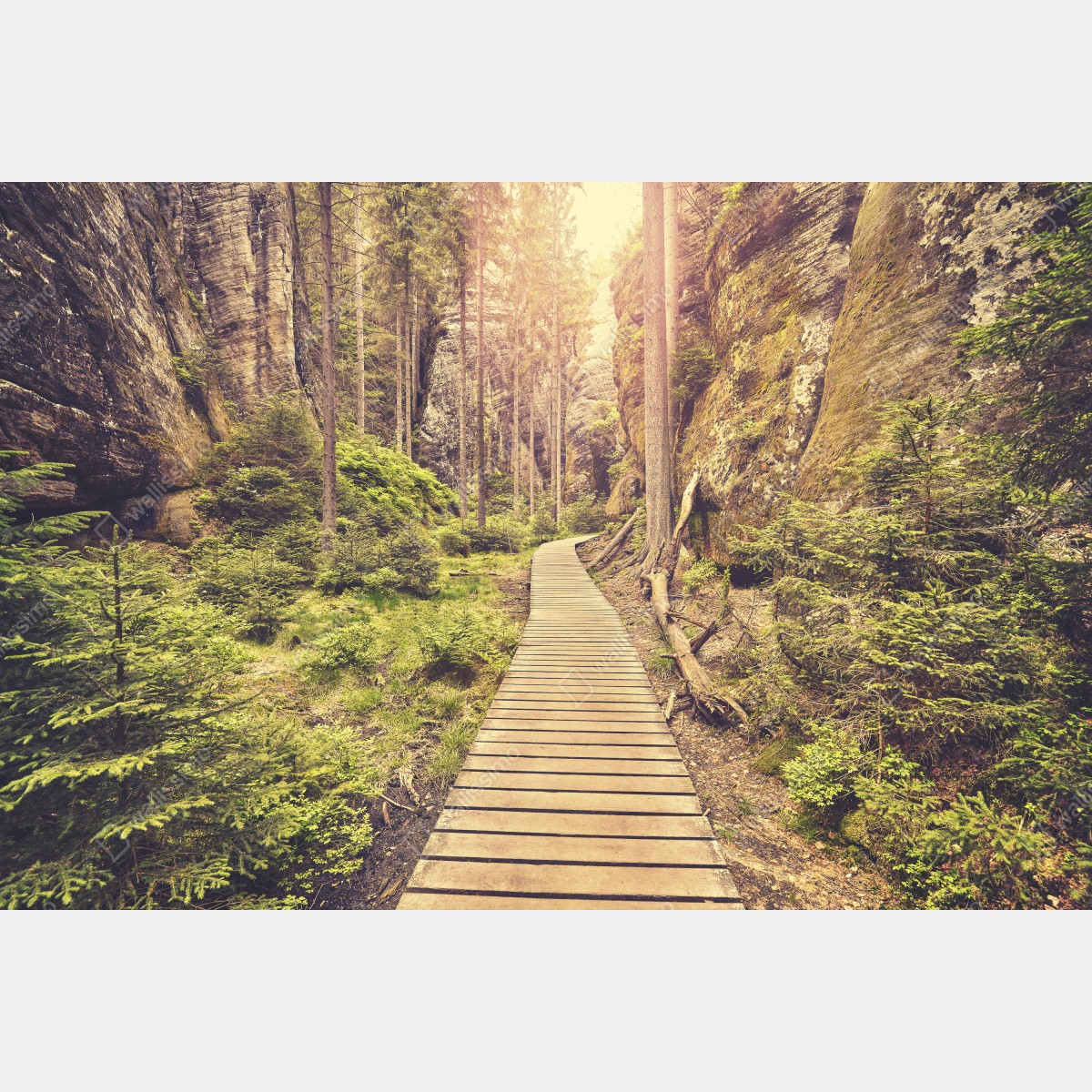 Fototapeta słoneczna drewniana kładka w Adrspach Teplice – Wallissimo® Fototapeta słoneczna drewniana kładka w Adrspach Teplice – Wallissimo®