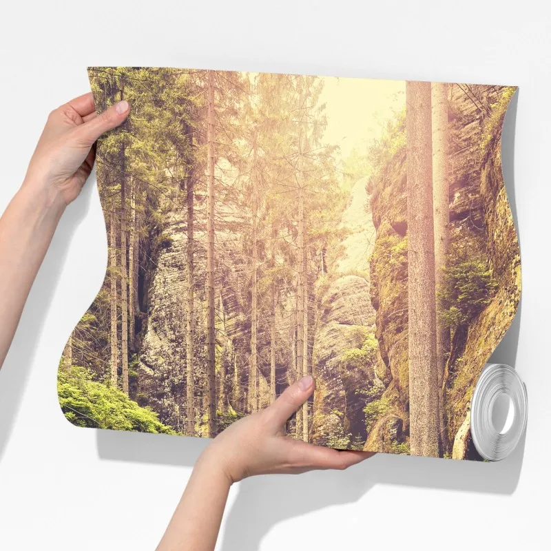 Fototapeta słoneczna drewniana kładka w Adrspach Teplice – Wallissimo® Fototapeta słoneczna drewniana kładka w Adrspach Teplice – Wallissimo®