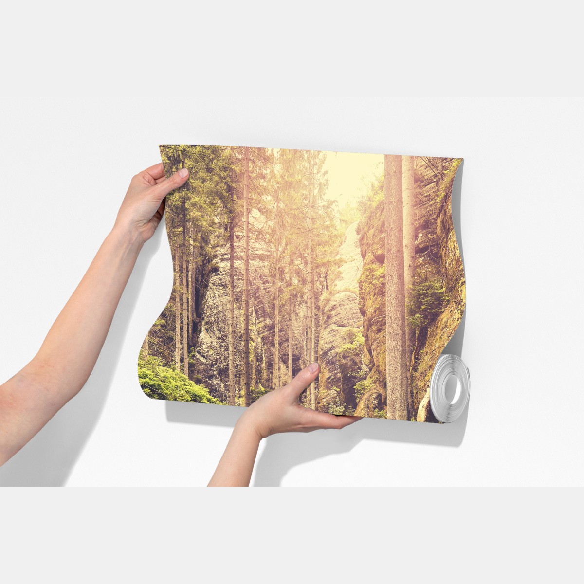 Fototapeta słoneczna drewniana kładka w Adrspach Teplice – Wallissimo® Fototapeta słoneczna drewniana kładka w Adrspach Teplice – Wallissimo®