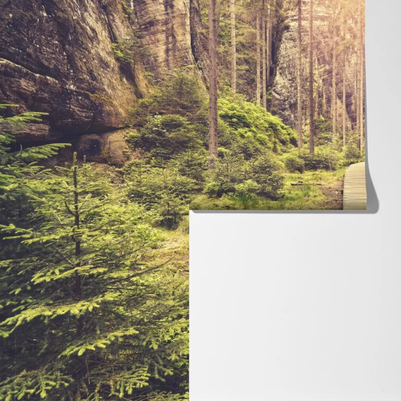 Fototapeta słoneczna drewniana kładka w Adrspach Teplice – Wallissimo® Fototapeta słoneczna drewniana kładka w Adrspach Teplice – Wallissimo®