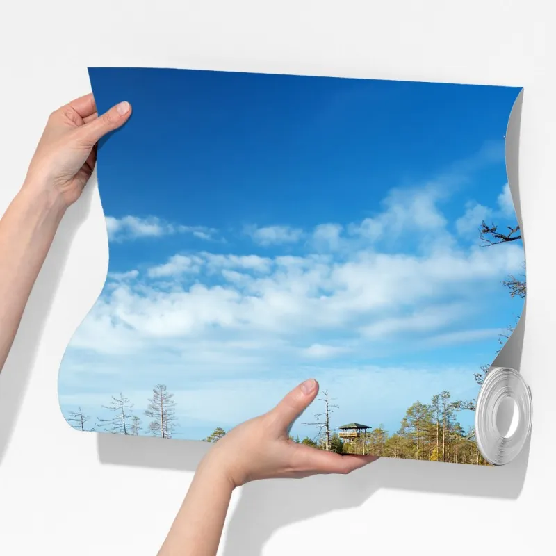 Fototapeta jesienna kładka nad spokojnym torfowiskiem – Wallissimo® Fototapeta jesienna kładka nad spokojnym torfowiskiem – Wallissimo®