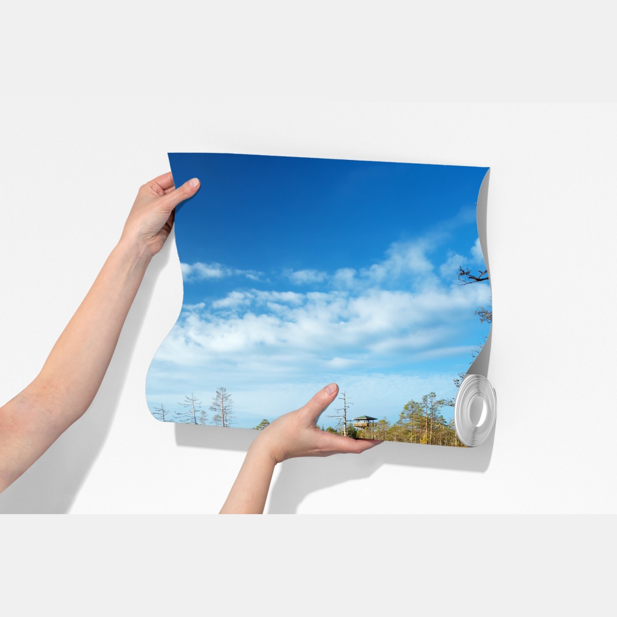 Fototapeta jesienna kładka nad spokojnym torfowiskiem – Wallissimo® Fototapeta jesienna kładka nad spokojnym torfowiskiem – Wallissimo®