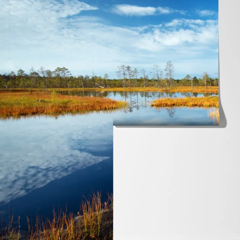 Fototapeta jesienna kładka nad spokojnym torfowiskiem – Wallissimo® Fototapeta jesienna kładka nad spokojnym torfowiskiem – Wallissimo®