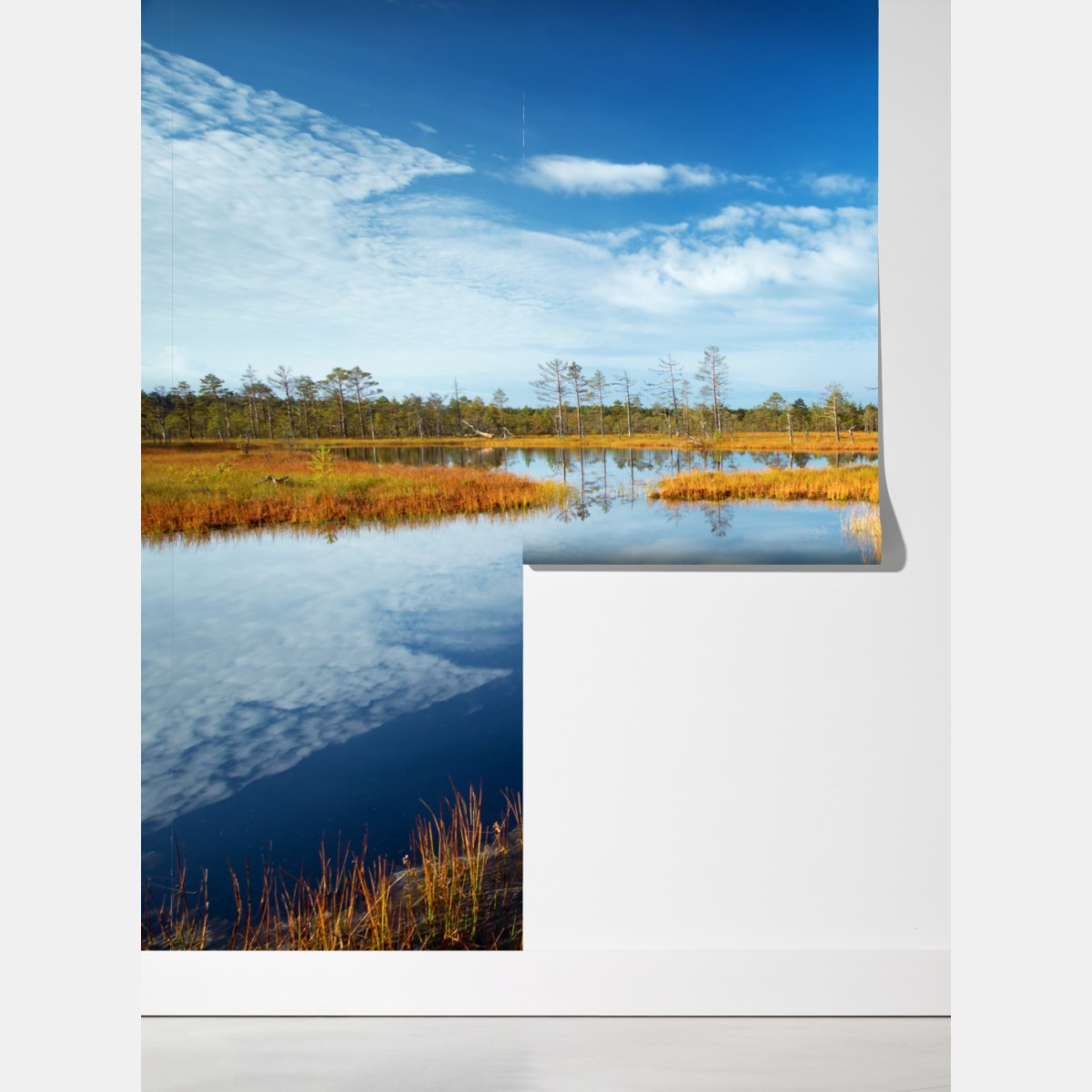 Fototapeta jesienna kładka nad spokojnym torfowiskiem – Wallissimo® Fototapeta jesienna kładka nad spokojnym torfowiskiem – Wallissimo®