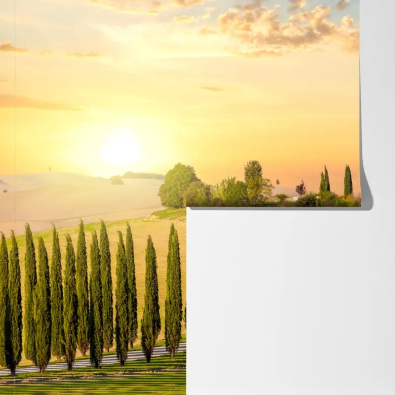 Fototapeta Toskania zachód słońca aleja cyprysów – Wallissimo® Fototapeta Toskania zachód słońca aleja cyprysów – Wallissimo®