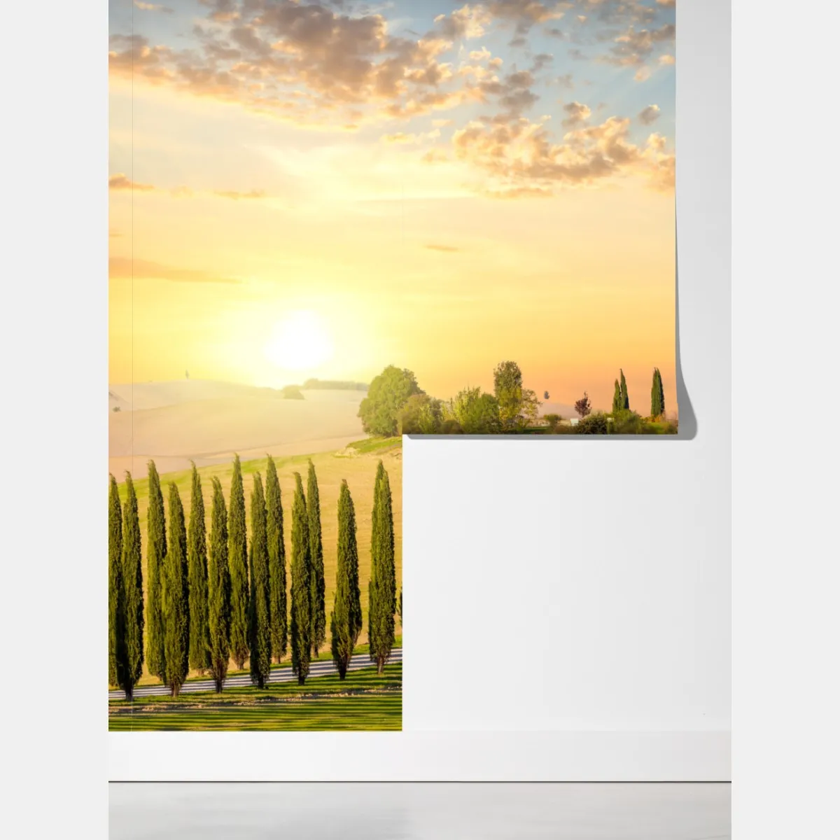 Fototapeta Toskania zachód słońca aleja cyprysów – Wallissimo® Fototapeta Toskania zachód słońca aleja cyprysów – Wallissimo®