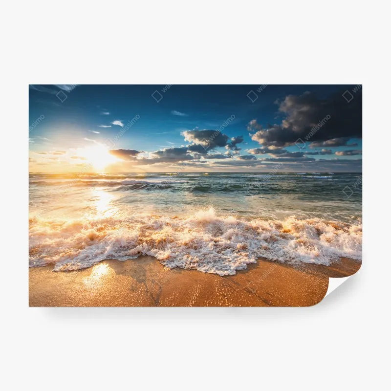 Fototapeta leśna droga wśród sosen – Wallissimo®