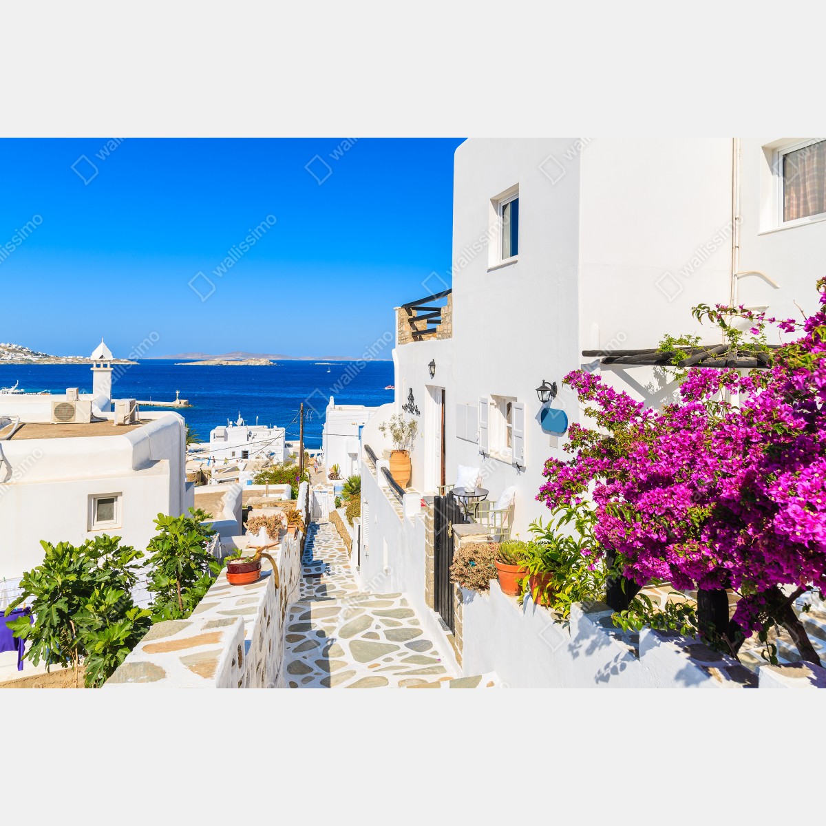 Fototapeta słoneczna uliczka w Mykonos – Wallissimo® Fototapeta słoneczna uliczka w Mykonos – Wallissimo®