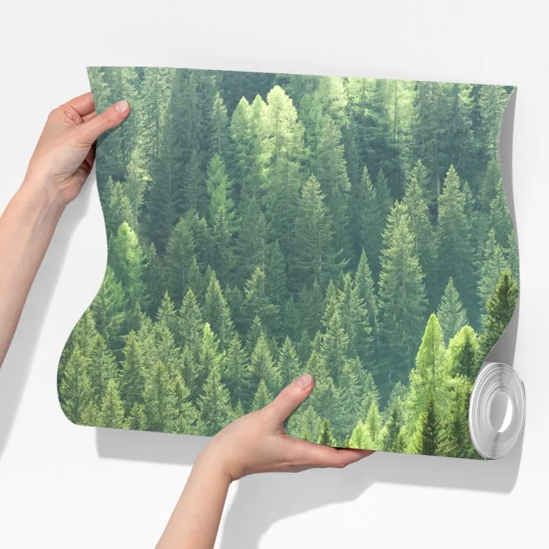 Fototapeta bujna zielona panorama lasu – Wallissimo® Fototapeta bujna zielona panorama lasu – Wallissimo®