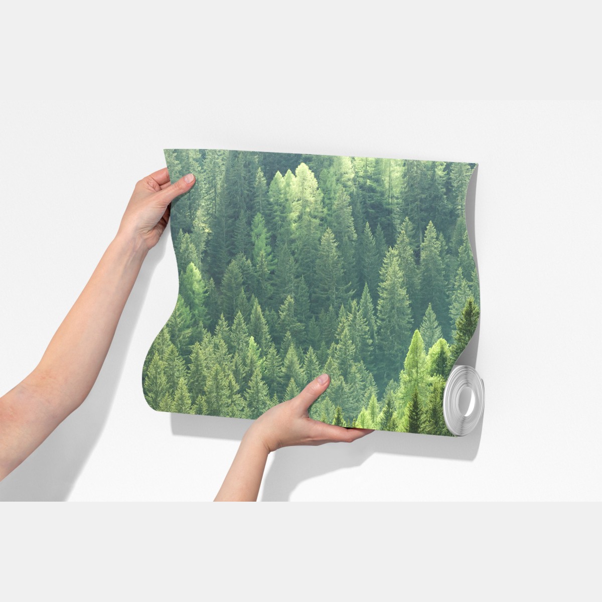 Fototapeta bujna zielona panorama lasu – Wallissimo® Fototapeta bujna zielona panorama lasu – Wallissimo®