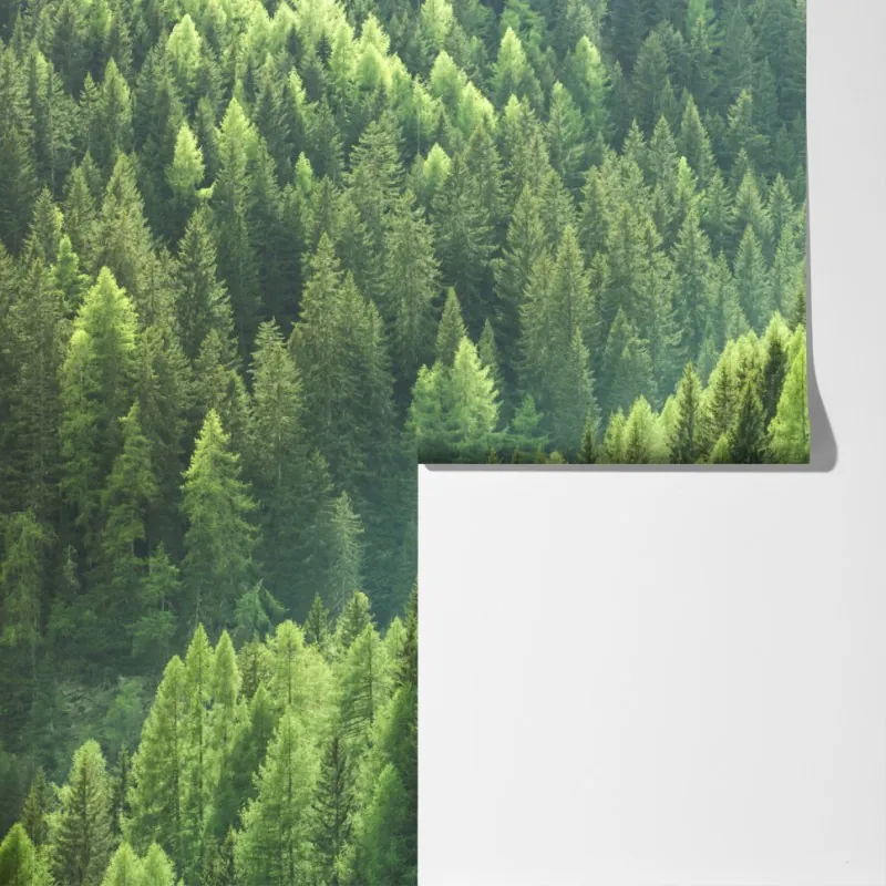 Fototapeta bujna zielona panorama lasu – Wallissimo® Fototapeta bujna zielona panorama lasu – Wallissimo®