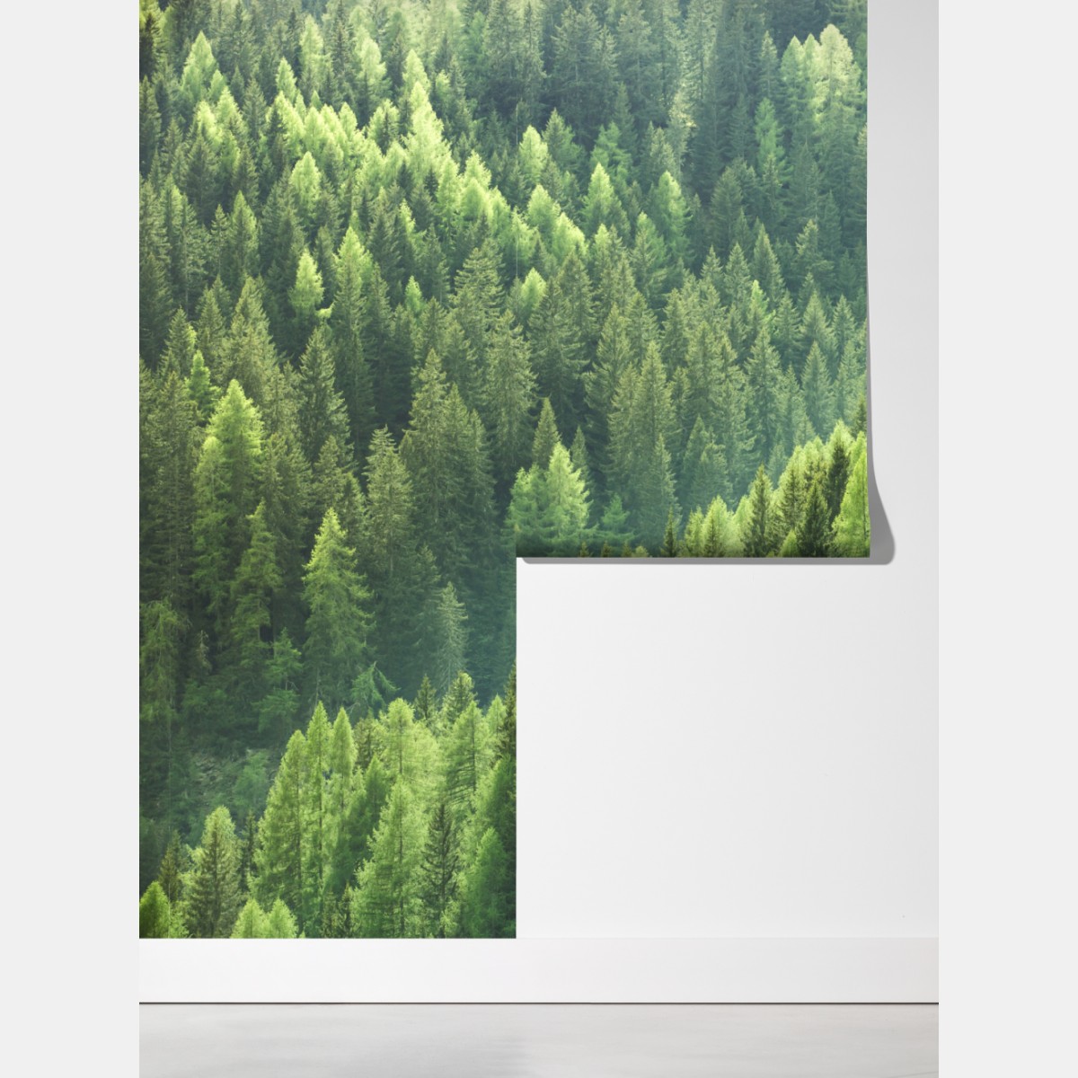 Fototapeta bujna zielona panorama lasu – Wallissimo® Fototapeta bujna zielona panorama lasu – Wallissimo®