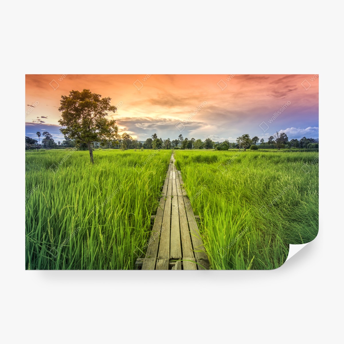 Fototapeta zachód słońca nad drewnianym mostem w Khonburi – Wallissimo® Fototapeta zachód słońca nad drewnianym mostem w Khonburi – Wallissimo®