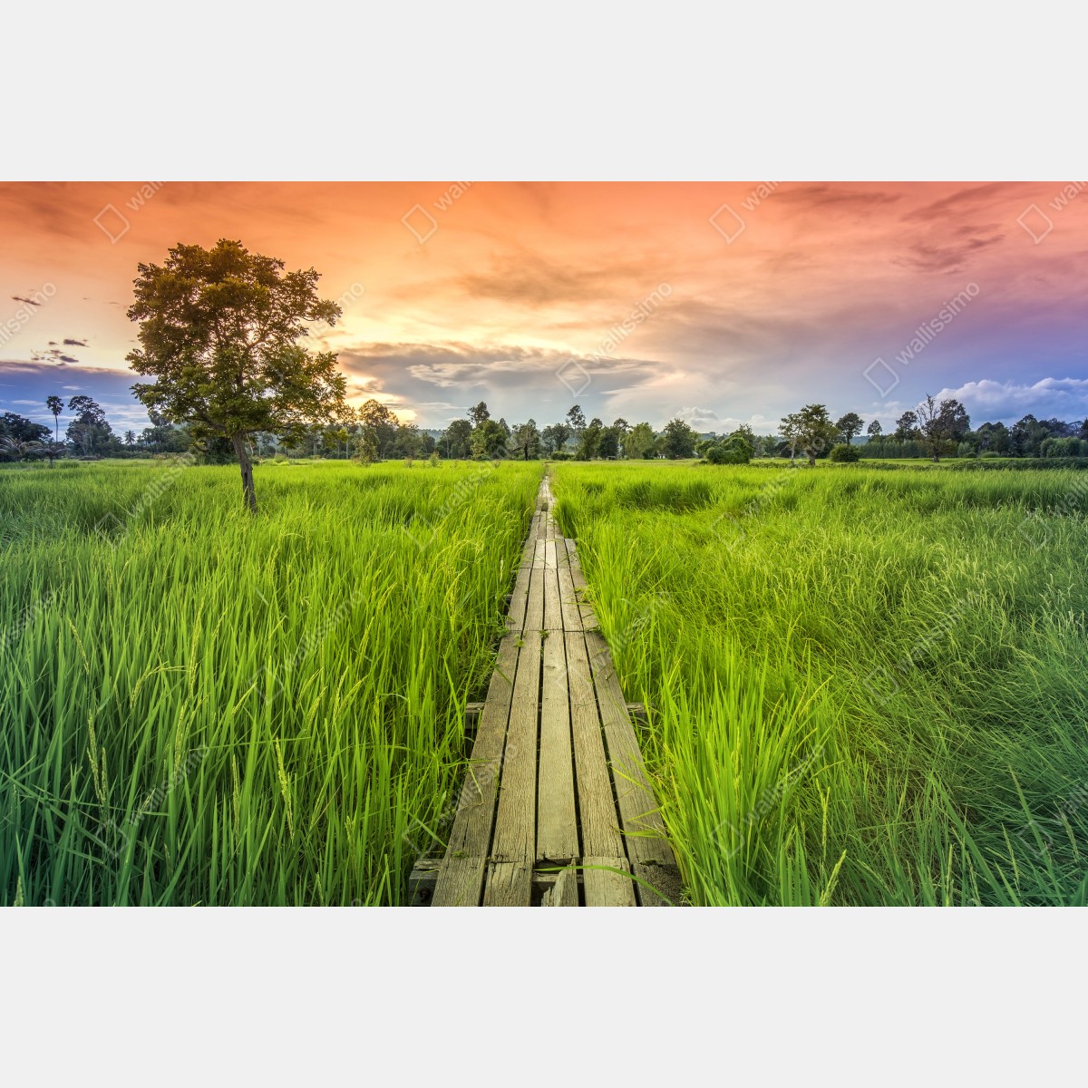 Fototapeta zachód słońca nad drewnianym mostem w Khonburi – Wallissimo® Fototapeta zachód słońca nad drewnianym mostem w Khonburi – Wallissimo®
