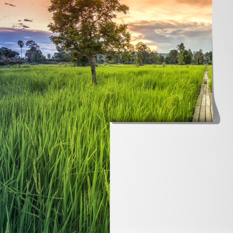 Fototapeta zachód słońca nad drewnianym mostem w Khonburi – Wallissimo® Fototapeta zachód słońca nad drewnianym mostem w Khonburi – Wallissimo®