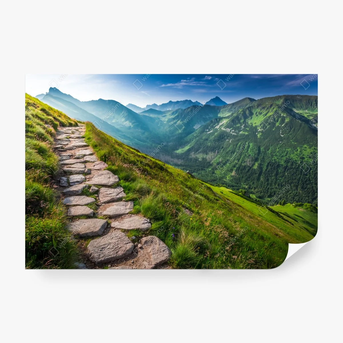 Fototapeta ścieżka w Tatrach o wschodzie słońca – Wallissimo® Fototapeta ścieżka w Tatrach o wschodzie słońca – Wallissimo®