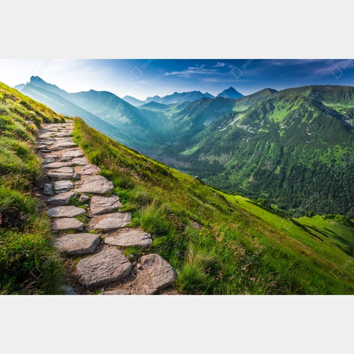 Fototapeta ścieżka w Tatrach o wschodzie słońca – Wallissimo® Fototapeta ścieżka w Tatrach o wschodzie słońca – Wallissimo®