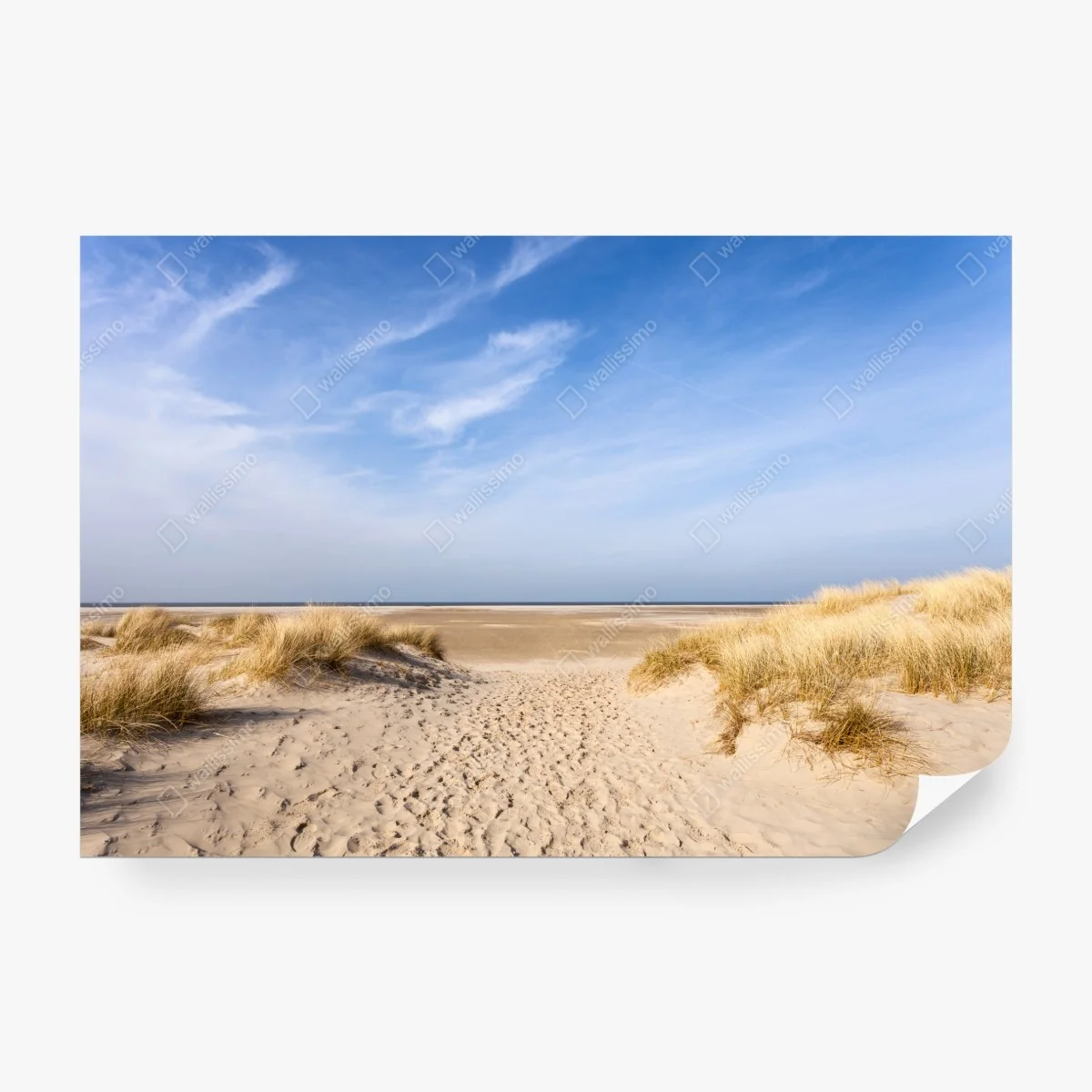 Fototapeta spokojne wydmy na wybrzeżu Niemiec – Wallissimo® Fototapeta spokojne wydmy na wybrzeżu Niemiec – Wallissimo®