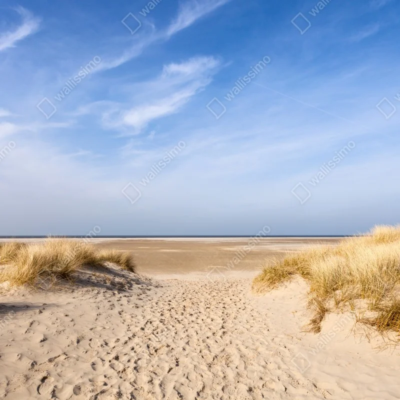 Fototapeta spokojne wydmy na wybrzeżu Niemiec – Wallissimo® Fototapeta spokojne wydmy na wybrzeżu Niemiec – Wallissimo®