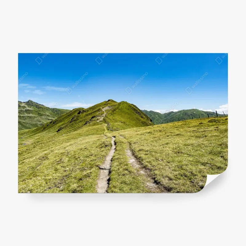 Fototapeta mglisty las jodłowy o poranku – Wallissimo®