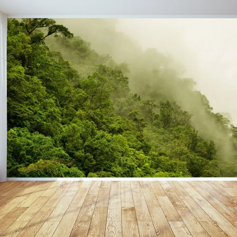 Fototapeta mglisty las deszczowy w pobliżu Cairns