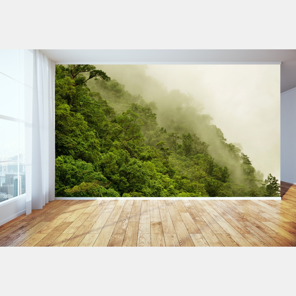 Wall mural misty rainforest near Cairns