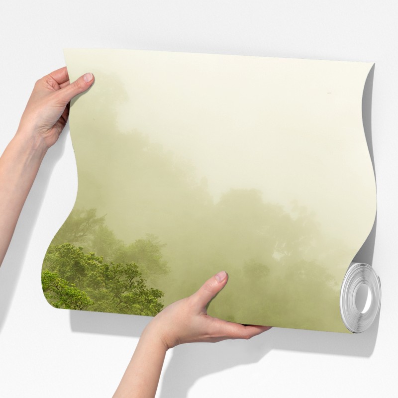 Fototapeta mglisty las deszczowy w pobliżu Cairns – Wallissimo® Fototapeta mglisty las deszczowy w pobliżu Cairns – Wallissimo®