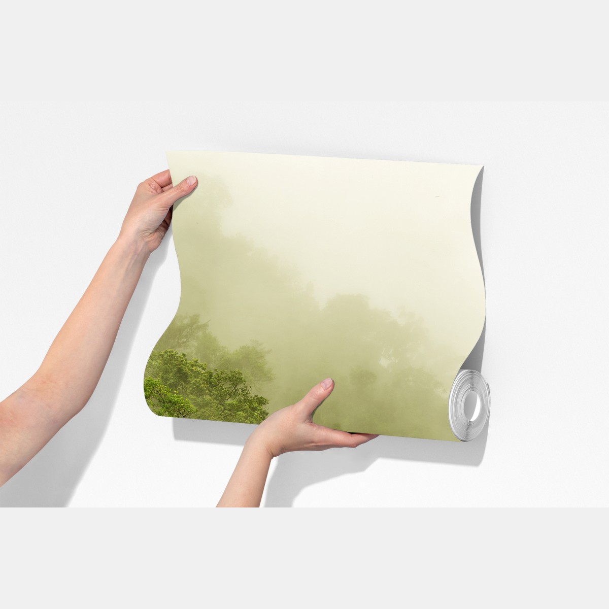 Fototapeta mglisty las deszczowy w pobliżu Cairns – Wallissimo® Fototapeta mglisty las deszczowy w pobliżu Cairns – Wallissimo®