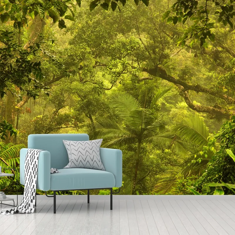 Fototapeta bujna pokrywa lasu deszczowego przy Cairns