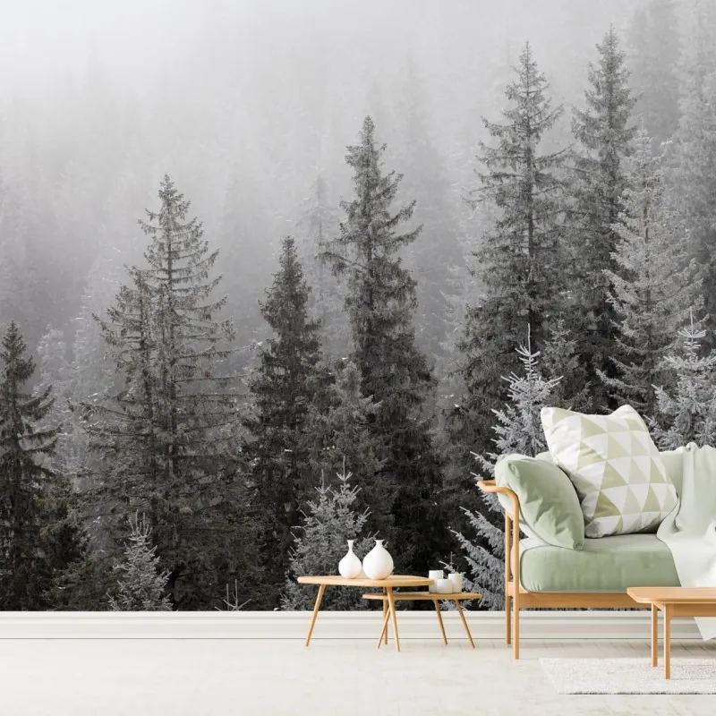 Fototapeta mglisty zimowy las w Karpatach