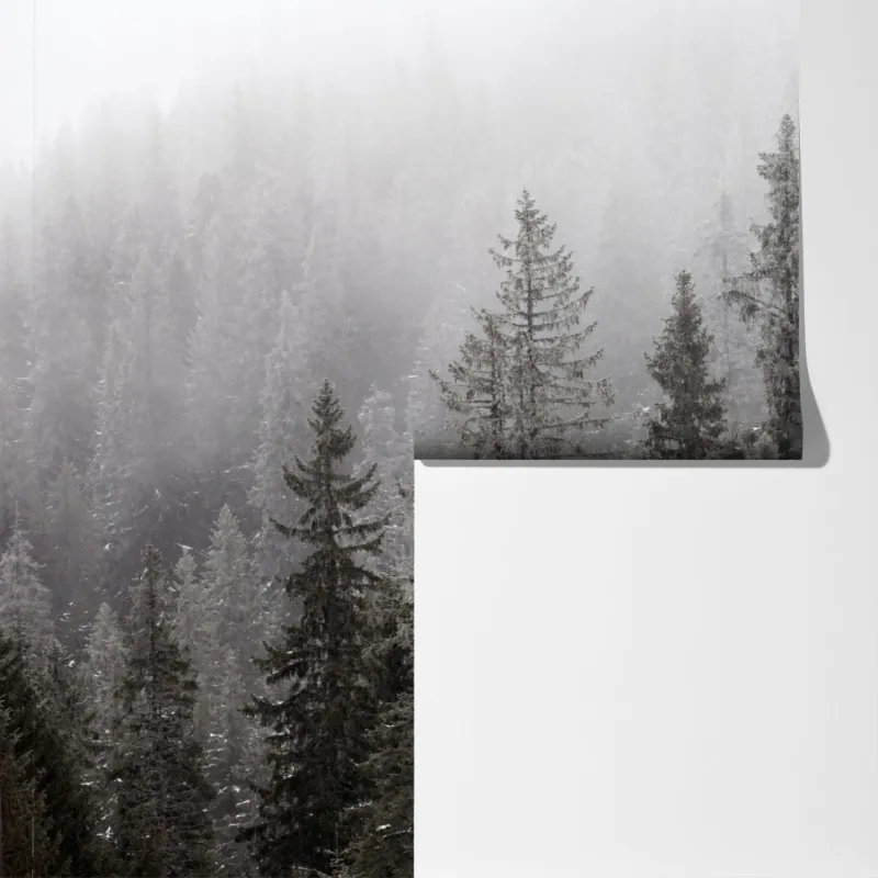 Fototapeta mglisty zimowy las w Karpatach – Wallissimo® Fototapeta mglisty zimowy las w Karpatach – Wallissimo®