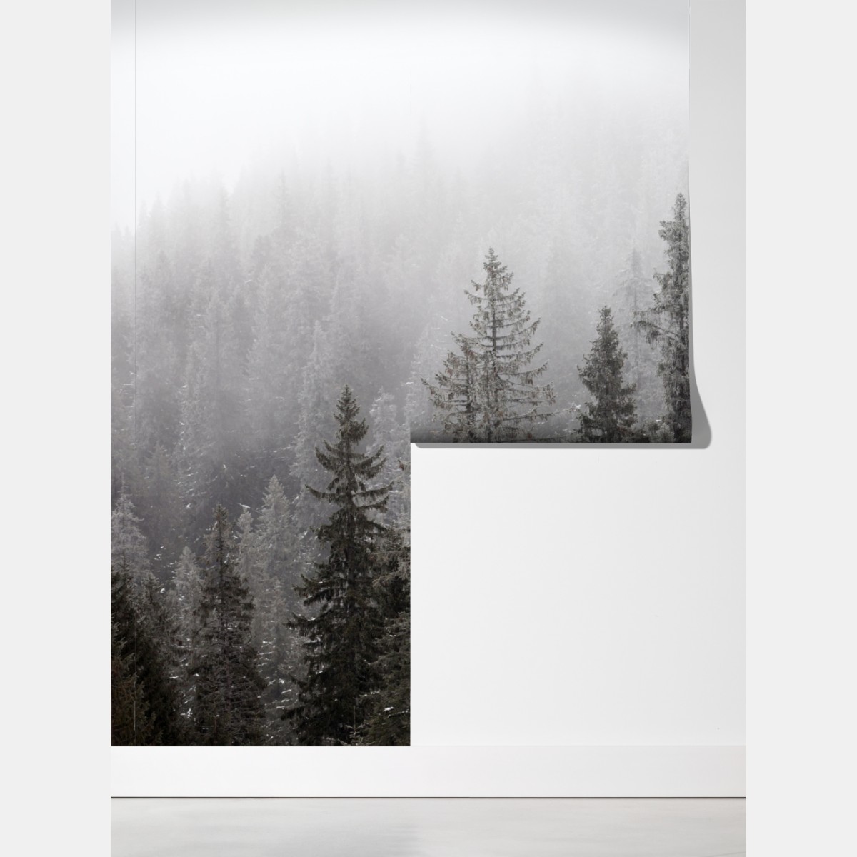 Fototapeta mglisty zimowy las w Karpatach – Wallissimo® Fototapeta mglisty zimowy las w Karpatach – Wallissimo®