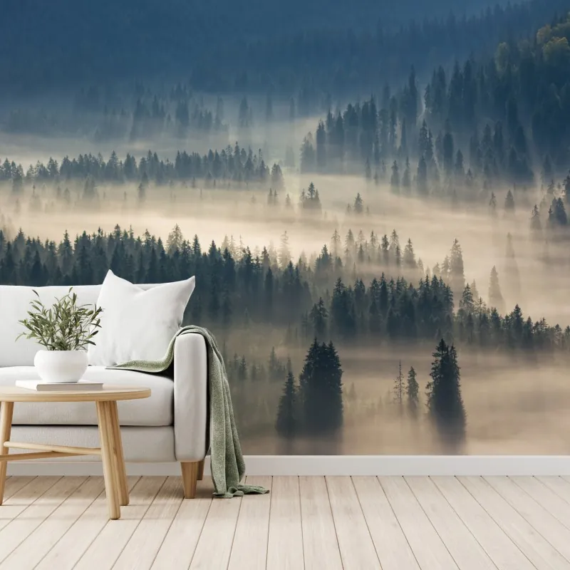 Fototapeta mglisty las iglasty o świcie – Wallissimo® Fototapeta mglisty las iglasty o świcie – Wallissimo®
