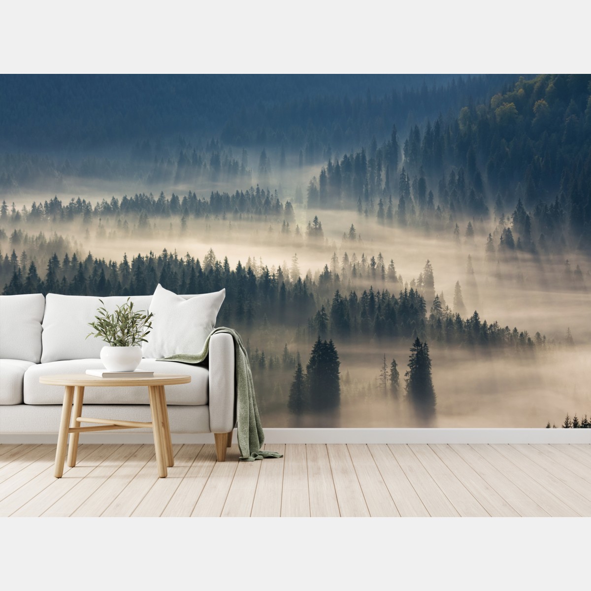Wall mural misty conifer forest at dawn