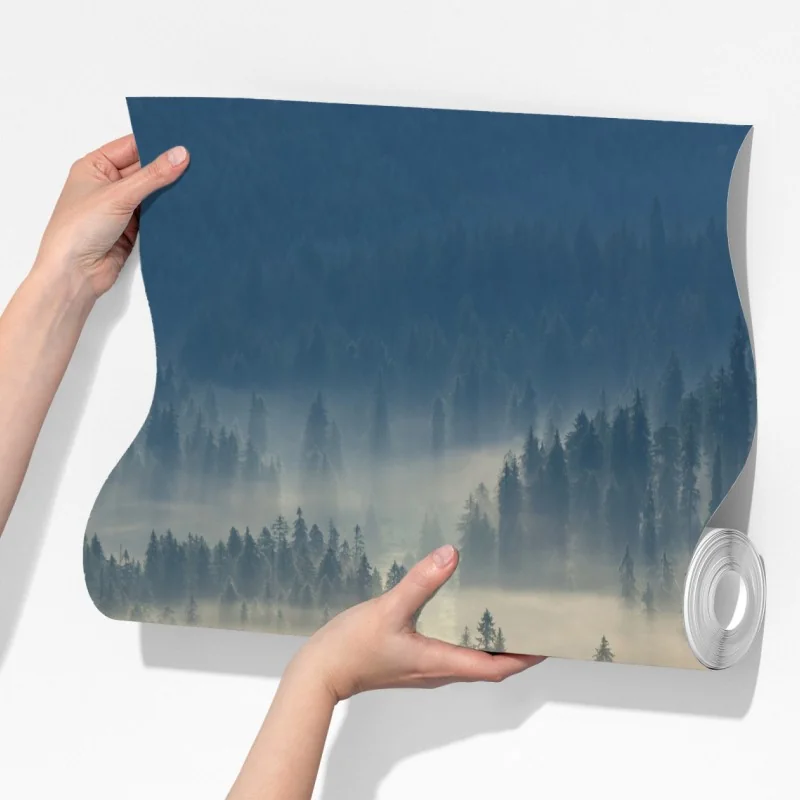 Fototapeta mglisty las iglasty o świcie – Wallissimo® Fototapeta mglisty las iglasty o świcie – Wallissimo®