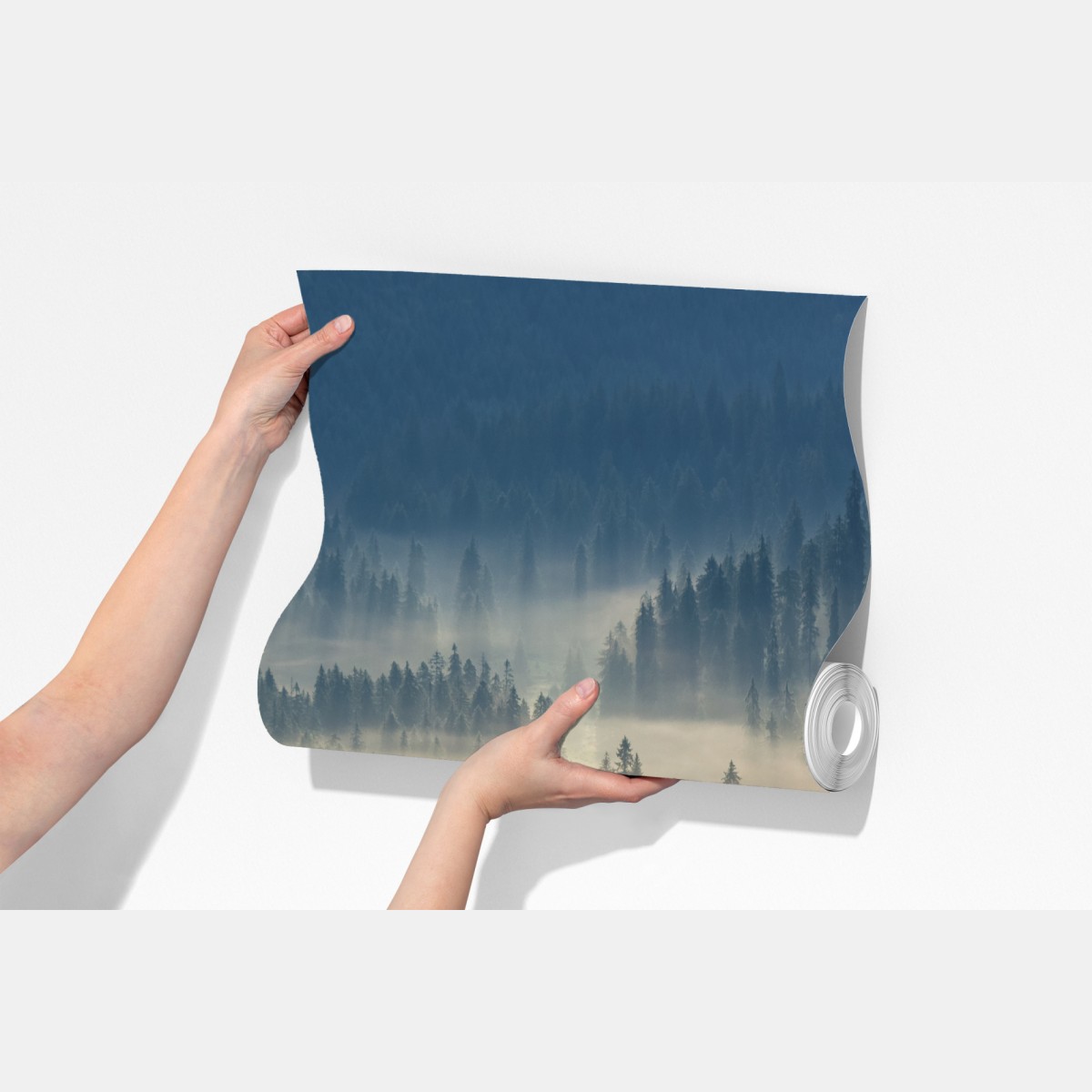 Fototapeta mglisty las iglasty o świcie – Wallissimo® Fototapeta mglisty las iglasty o świcie – Wallissimo®