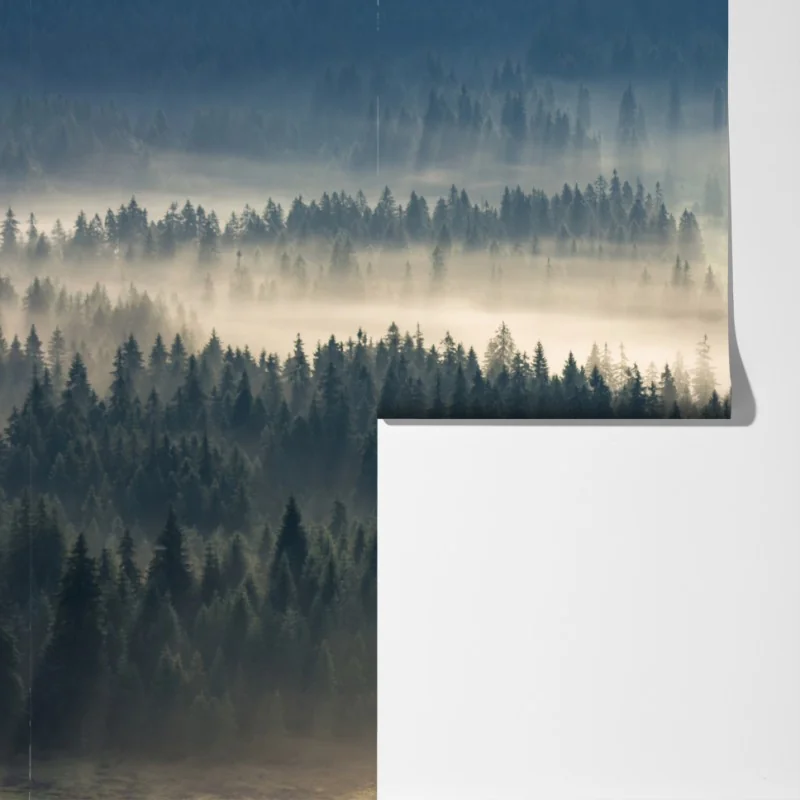 Fototapeta mglisty las iglasty o świcie – Wallissimo® Fototapeta mglisty las iglasty o świcie – Wallissimo®