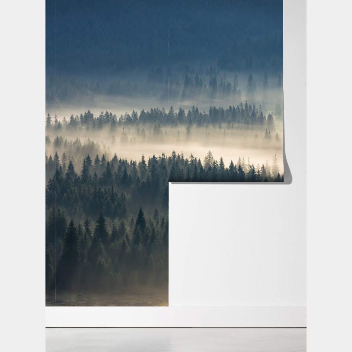 Fototapeta mglisty las iglasty o świcie – Wallissimo® Fototapeta mglisty las iglasty o świcie – Wallissimo®