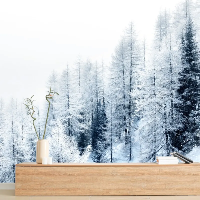 Fototapeta zimowa cisza: zaśnieżony las