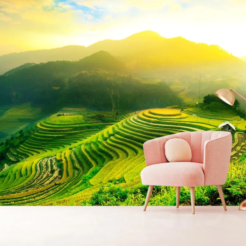 Fototapeta złote tarasy ryżowe o wschodzie słońca