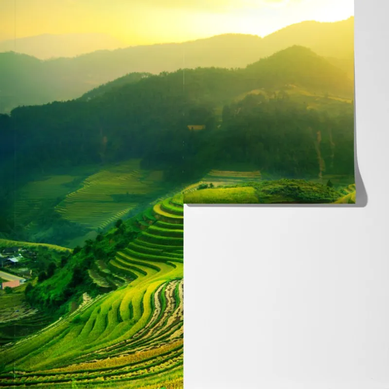 Fototapeta złote tarasy ryżowe o wschodzie słońca – Wallissimo® Fototapeta złote tarasy ryżowe o wschodzie słońca – Wallissimo®